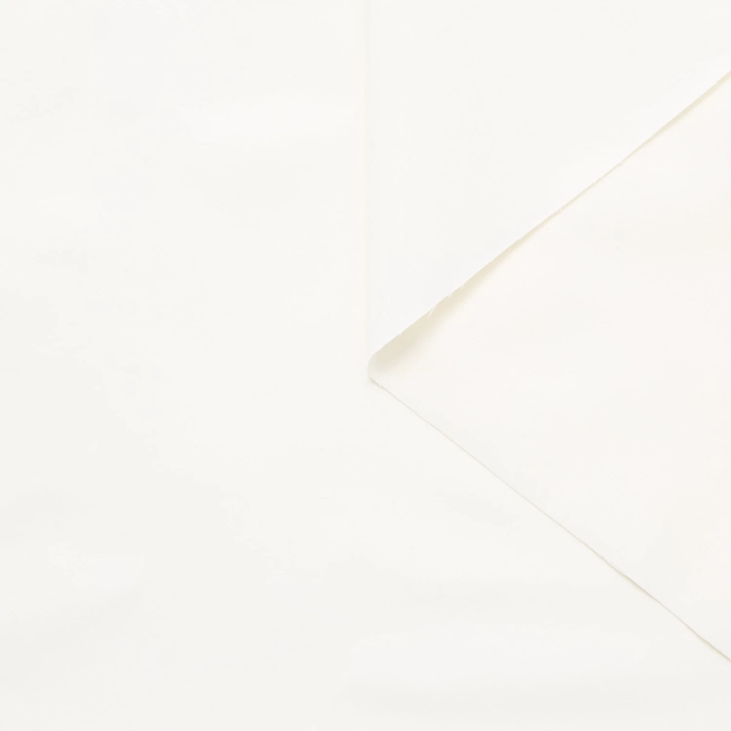 T25Y12007 | Cotton Moleskin 3 T25Y12007 | Cotton Moleskin